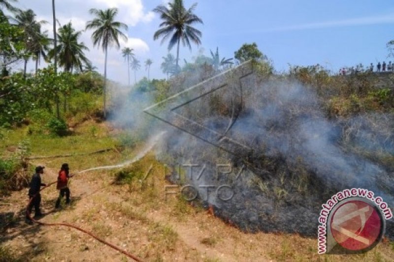 Kebakaran Lahan Di Manado