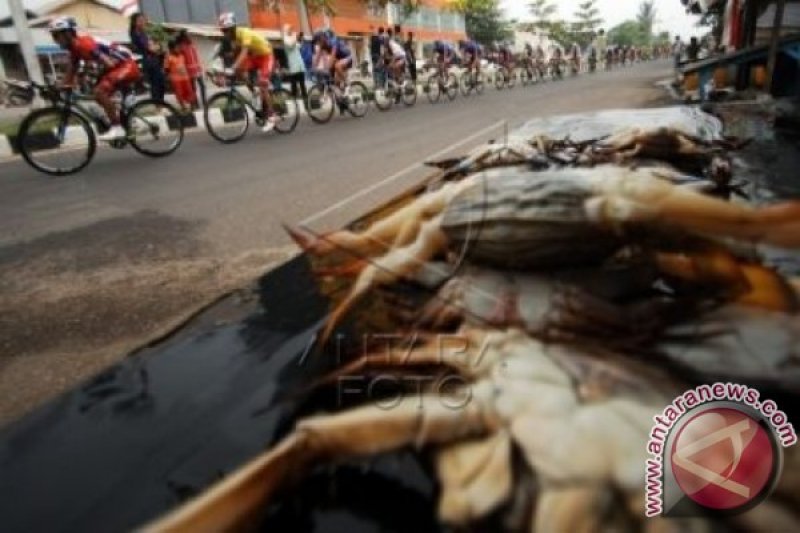 ETAPE TERAKHIR TOUR DE SINGKARAK