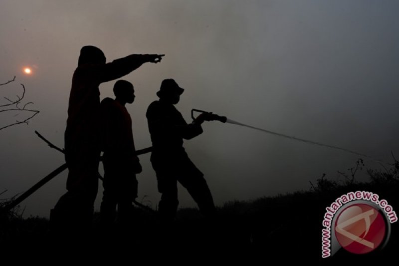 Kebakaran lahan Ogan Ilir