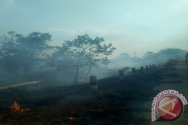 Warga Mesuji Lampung Keluhkan Dampak Kabut Asap