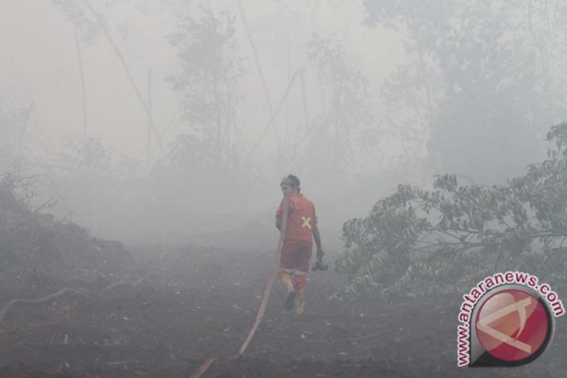 Isbedy Stiawan Siapkan Baca Puisi Bencana Asap Antara News