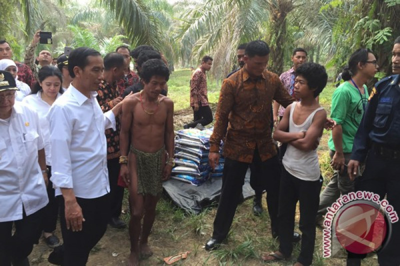Jokowi Presiden Ri Pertama Kunjungi Suku Anak Dalam Antara News