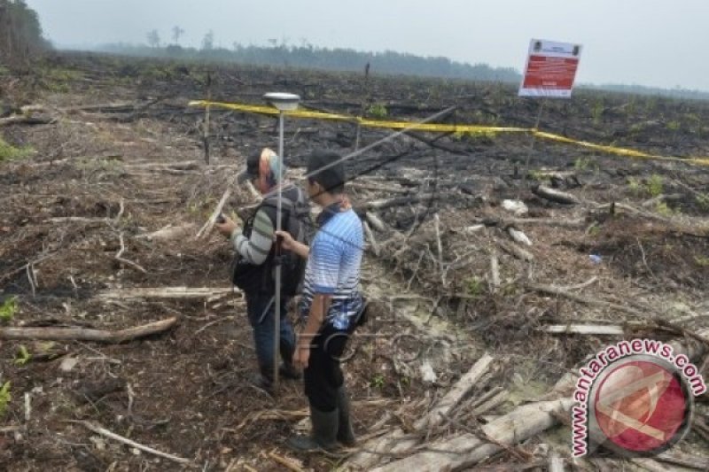 PEMBAKARAN LAHAN PERKEBUNAN