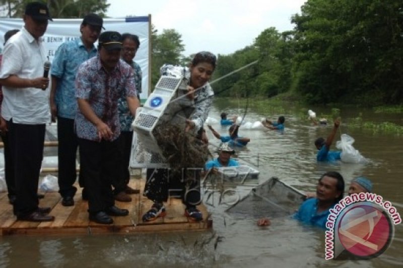 BANTUAN BENIH IKAN MENTERI KKP