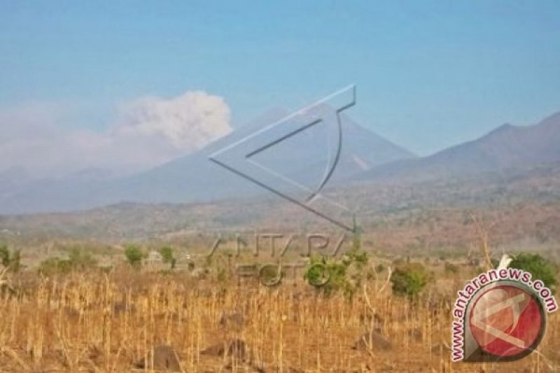 ERUPSI GUNUNG BARUJARI