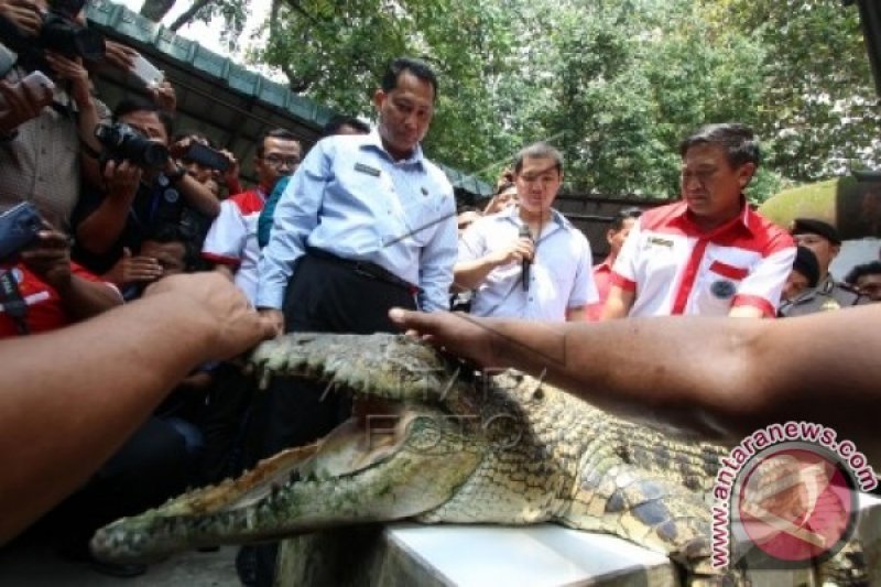 PENJARA KOLAM BUAYA BNN