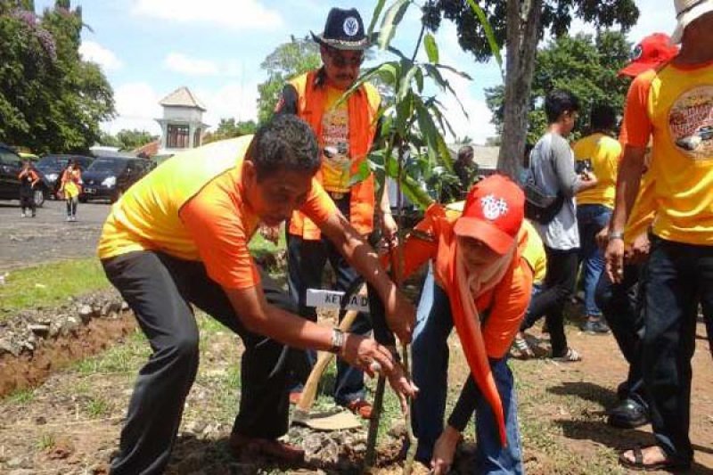 Komunitas Volkswagen Indonesia Tanam Pohon di Metro