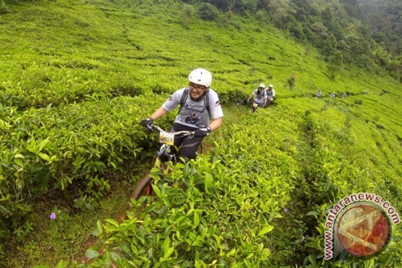 Bogor buka perwakilan promosi pariwisata di Malaysia dan Jepang