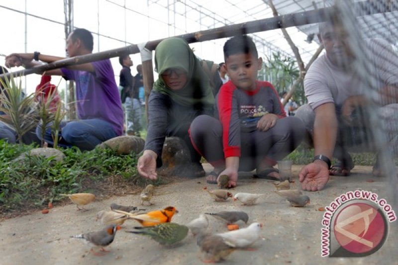 Liburan di Palembang Bird Park