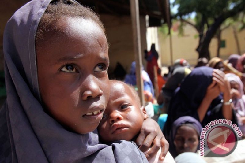 Hampir sejuta anak di Afrika kekurangan gizi akut