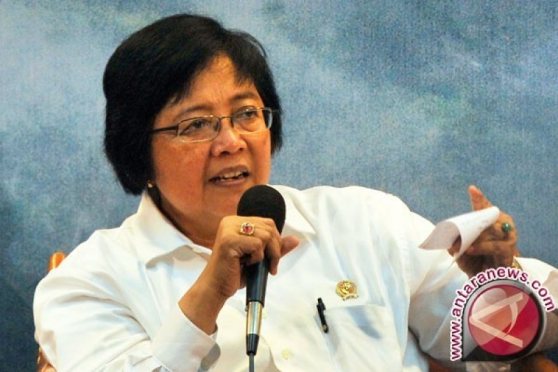 Menteri Siti Nurbaya Tegaskan Amdal KA Cepat Tidak Ada Persoalan