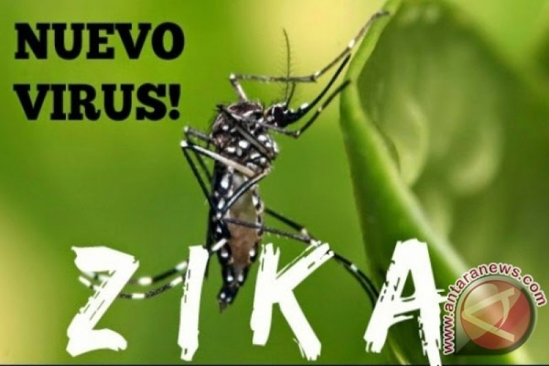 Virus Zika Penyebab Cacat Lahir