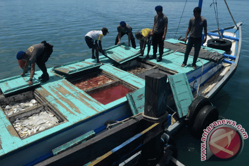 Penagkapan Kapal Ikan Berformalin