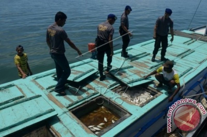 PENANGKAPAN KAPAN IKAN BERFORMALIN