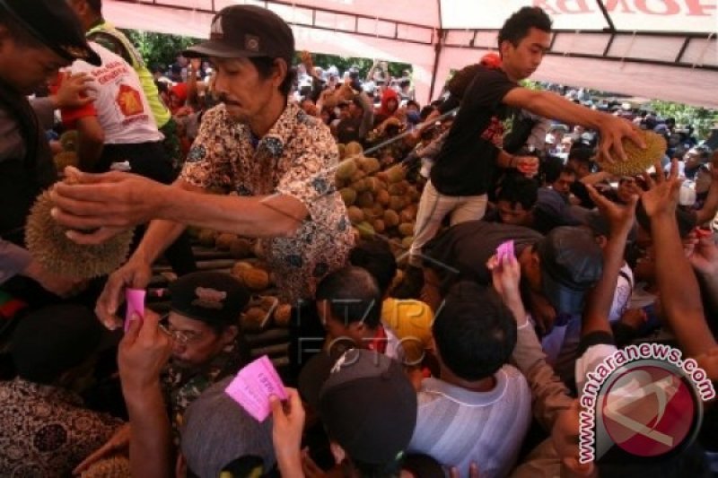 FESTIVAL DURIAN MEDOWO KEDIRI