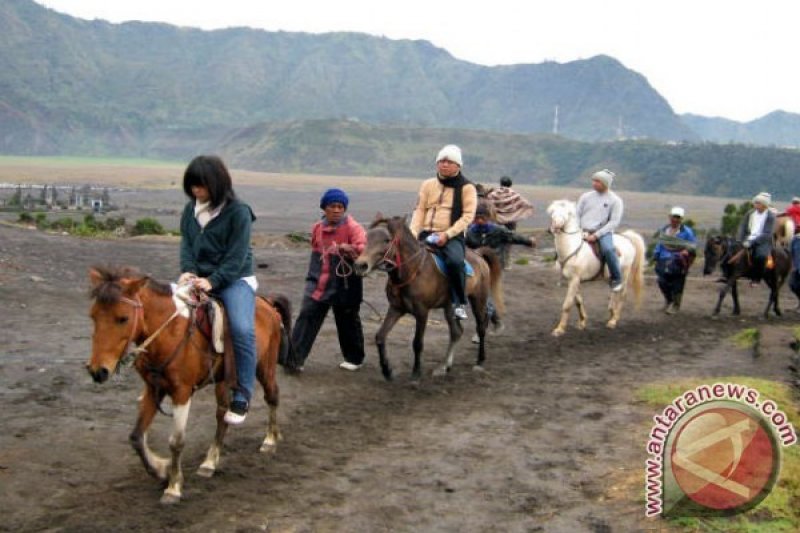 Libur Panjang Wisatawan ke Gunung Bromo Meningkat