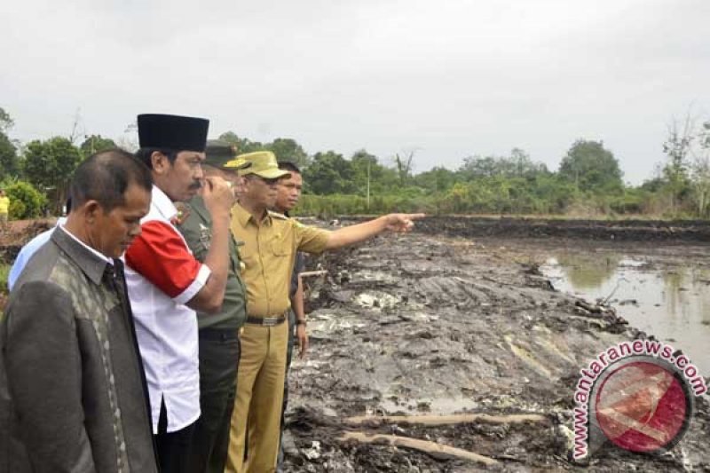 Tinjau Sawah Sungai Besar