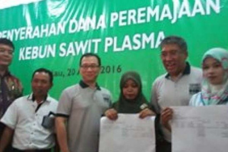 Asian Agri dan BPDPS Bantu Petani Rp6,75 Miliar Remajakan Sawit
