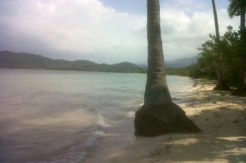 Image Print