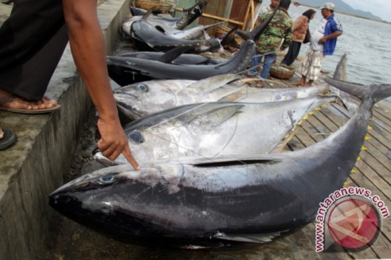 PERMINTAAN TUNA EKSPOR