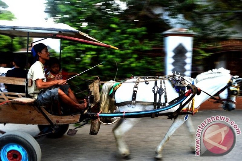 Delman Alih Fungsi Jadi Transportasi Hiburan