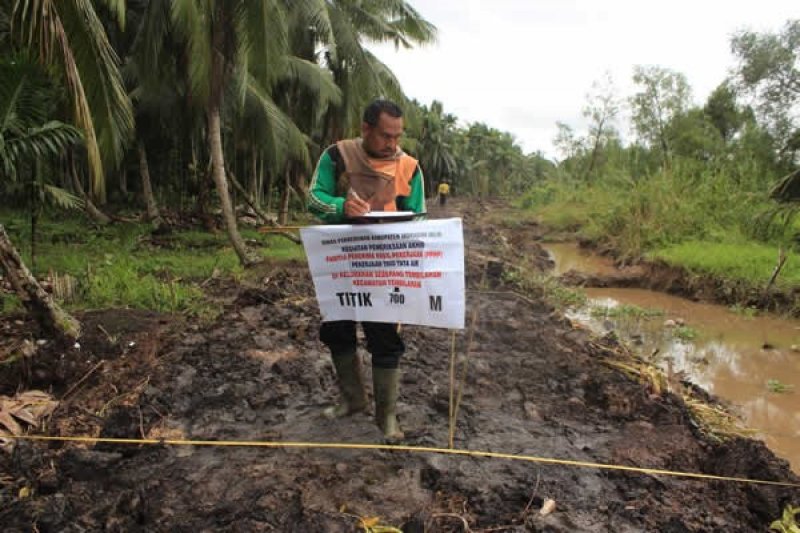 Dinas Perkebunan Inhil Bangun 233,5 KM Tanggul