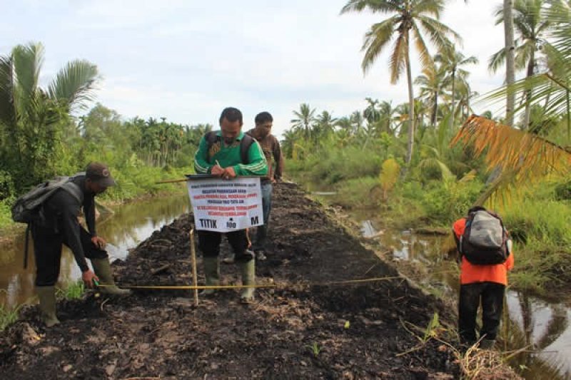 Dinas Perkebunan Inhil Bangun 233,5 KM Tanggul