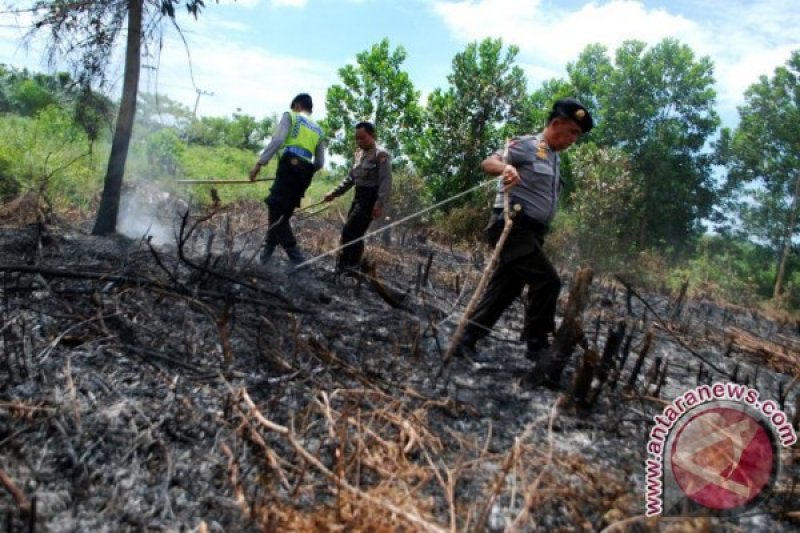 POLISI TEMUKAN LAHAN YANG SENGAJA DIBAKAR