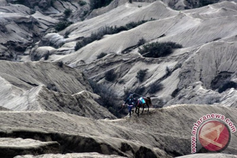 WISATA GUNUNG BROMO