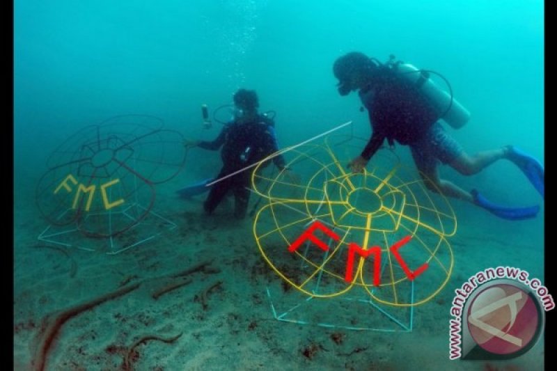 PEMBUATAN TAMAN LAUT ENGGANO