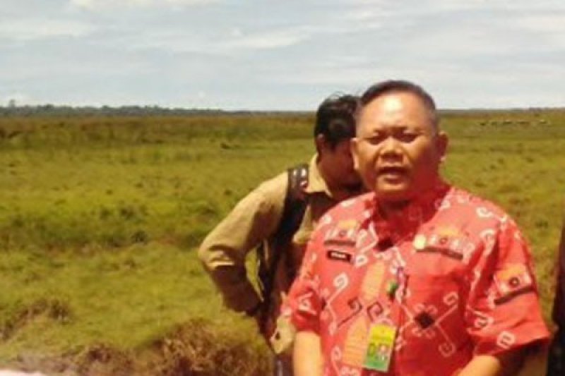 300 Jenis Burung Hidup Di TN Way Kambas