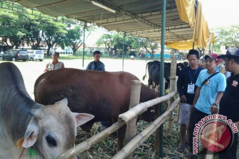 Pemkot Cirebon Gelar Bazar Hewan Ternak