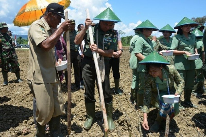 Pangdam Cenderawasih pimpin tanam padi serentak