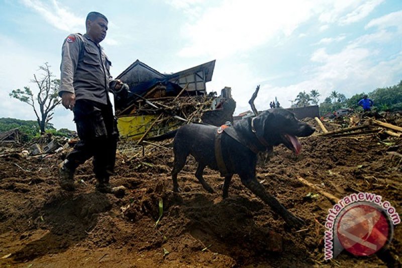 Enam Anjing Pelacak Cari Korban Banjir Garut 