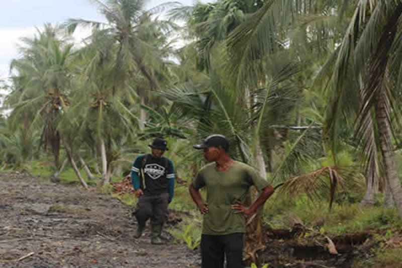 Kadisbun Inhil Tinjau Proses Pembangunan Tanggul Di Tekulai Hilir