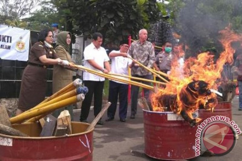 Polisi Musnahkan 38 Hewan Langka yang Diawetkan