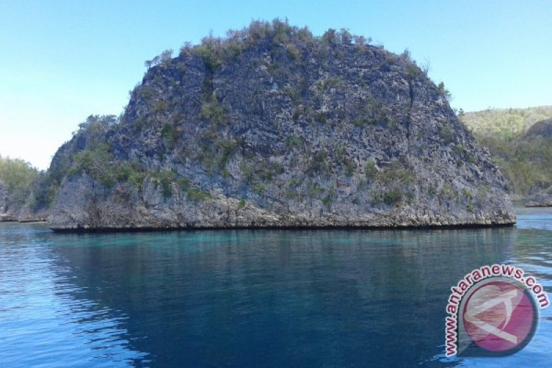 Pulau Pianemo Raja Ampat