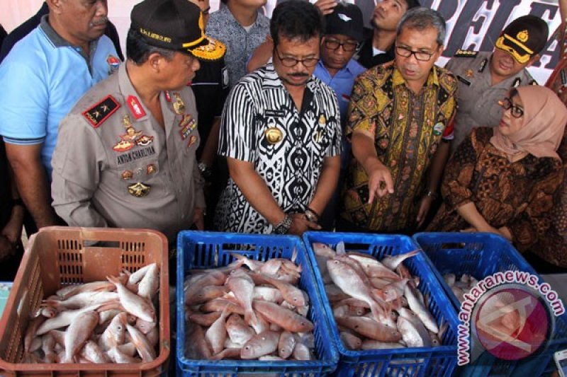 Penangkapan Tiga Ton Ikan Berformalin