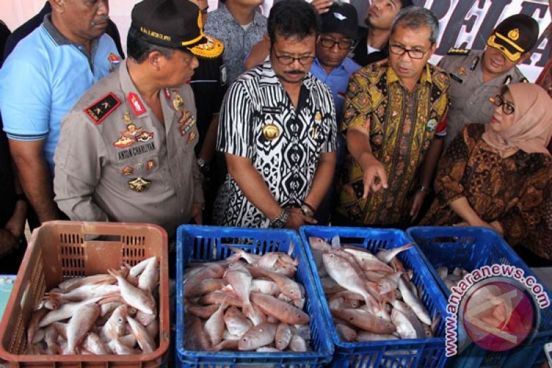 Penangkapan Ikan Berformalin