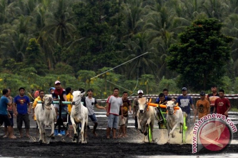 PACU RODA KHAS MINAHASA