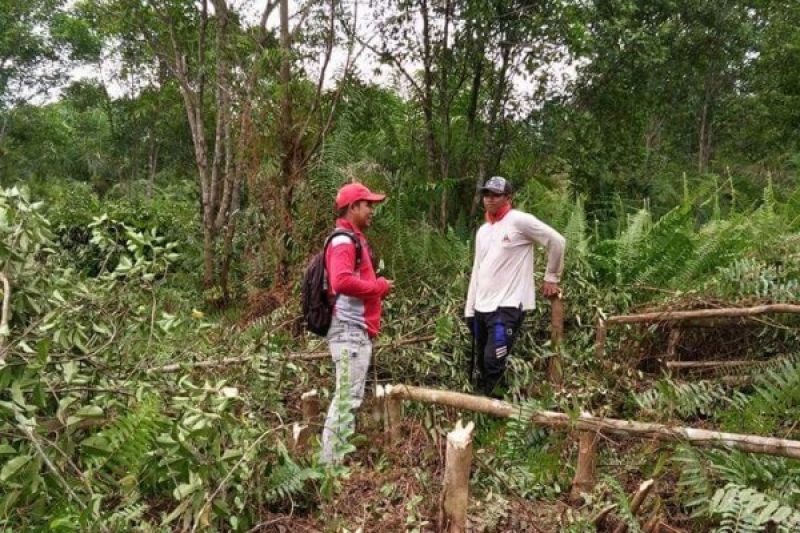 Dedikasikan Hidup Untuk Jaga Desa Bebas Dari Api