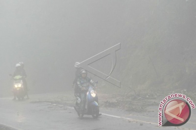 KABUT TEBAL GANGGU PENGENDARA