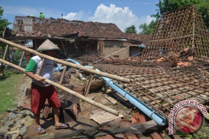 PUTING BELIUNG TERJANG PATI