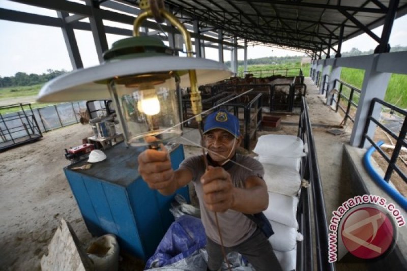 LISTRIK TENAGA BIOGAS LAHAN GAMBUT