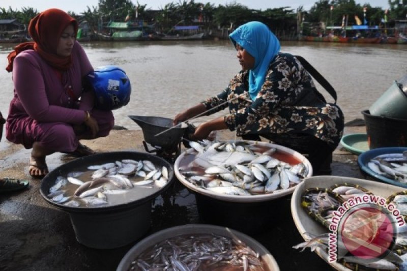 HARGA IKAN SEGAR MELONJAK