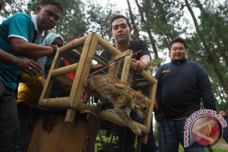 WARTAWAN SEDEKAH ALAM