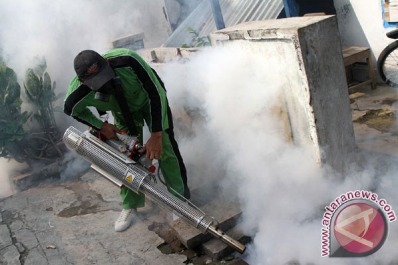 Kasus DBD di Bandarlampung Belum KLB