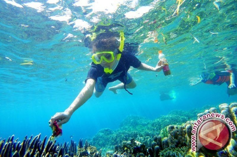 KKP: Terumbu karang vital bagi ekosistem laut