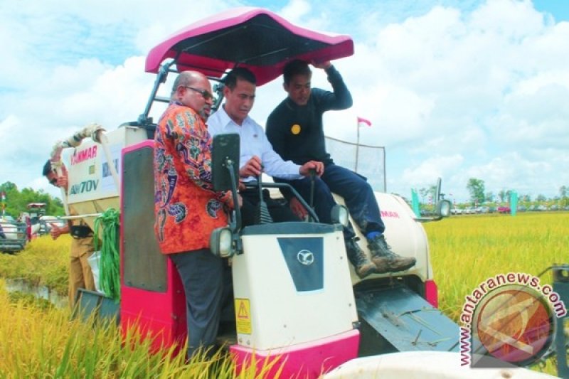 Mentan dan Gubernur Papua di lahan sawah Merauke