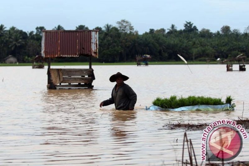 Menkes Ingatkan Ancaman Penyakit Saat Banjir